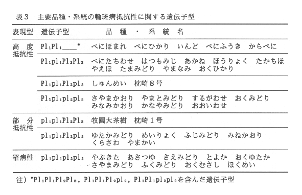 表3.主要品種・系統の輪斑病抵抗性に関する遺伝子型