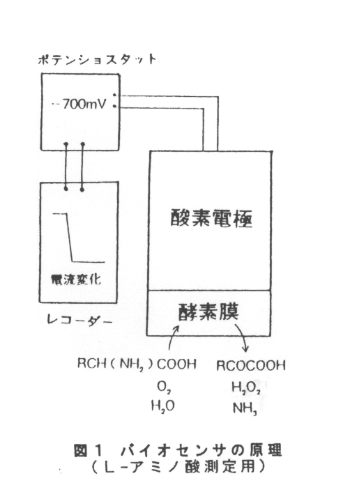 図1.バイオセンサの原理