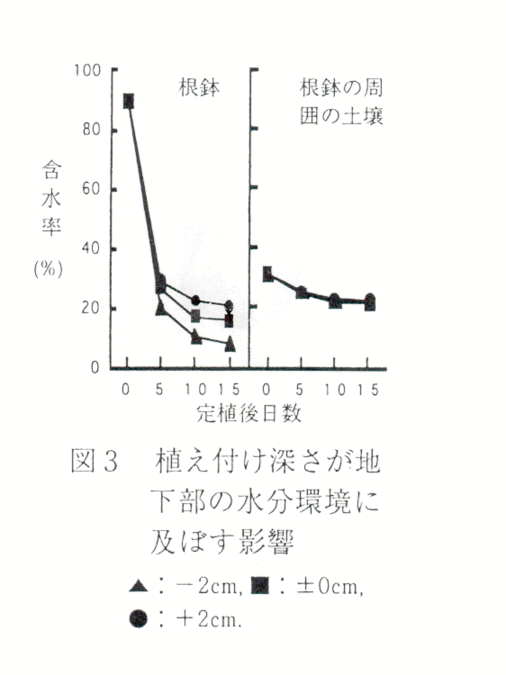 図3 植付け深さが地下部の水分環境に及ぼす影響