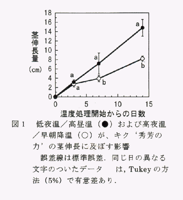 図1 低夜温・高昼温および高夜温・早朝降温がキク'秀芳の力'の茎伸長に及ぼす影響