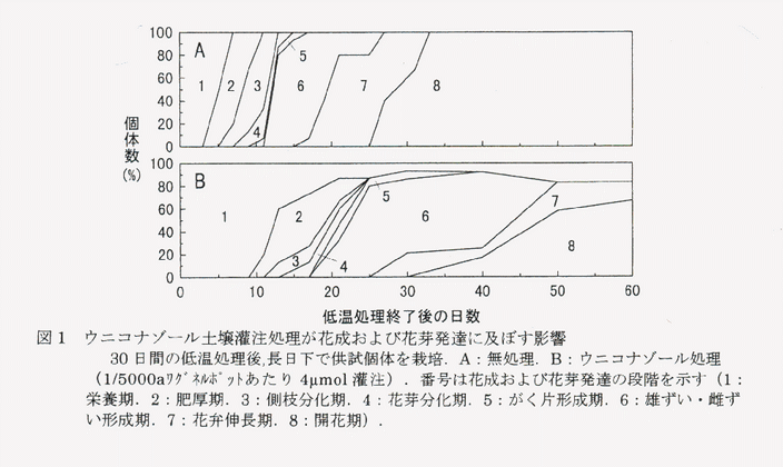図1 ウニコナゾール土壌灌注処理が花成および花芽発達に及ぼす影響