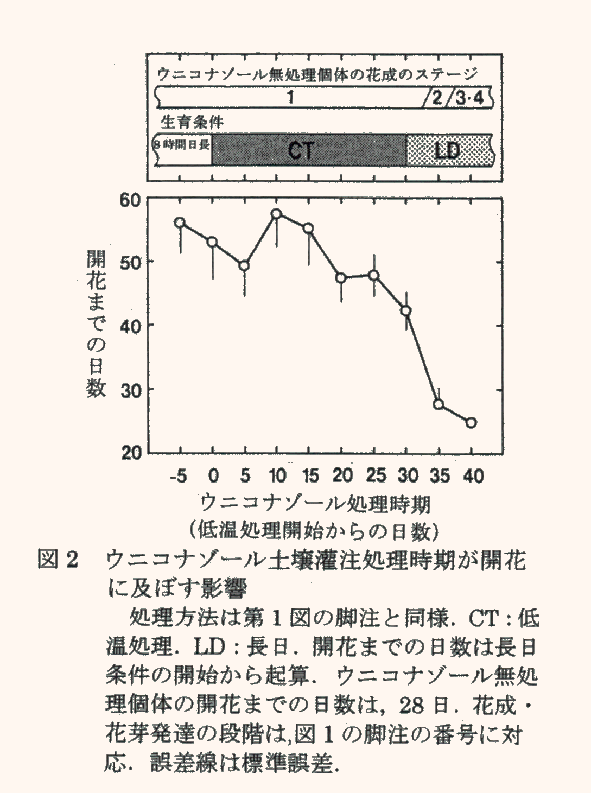 図2 ウニコナゾール土壌灌注処理時間が開花に及ぼす影響