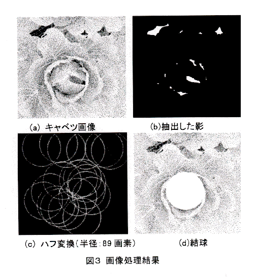 図3 画像処理結果