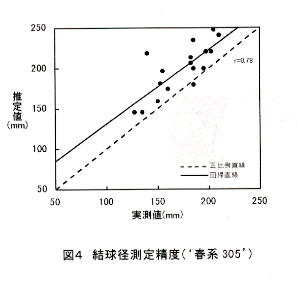 図4 結球径測定精度