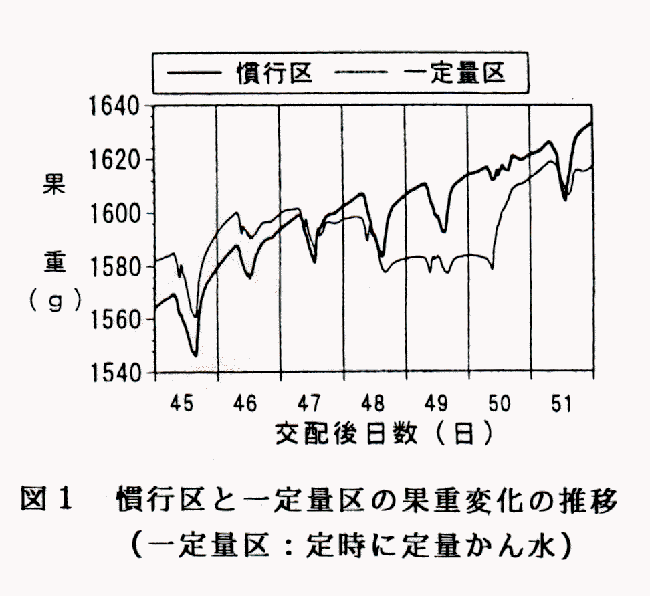 図1 慣行区と一定量区の果重変化の推移