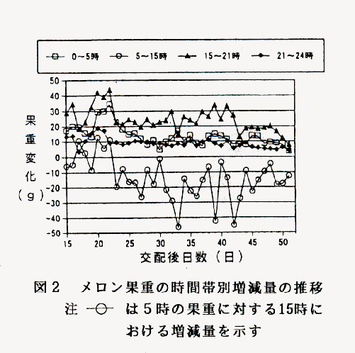 図2 メロン果重の時間帯別減量の推移