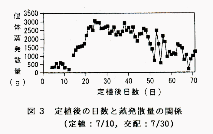 図3 定植後の日数と蒸発散量の関係