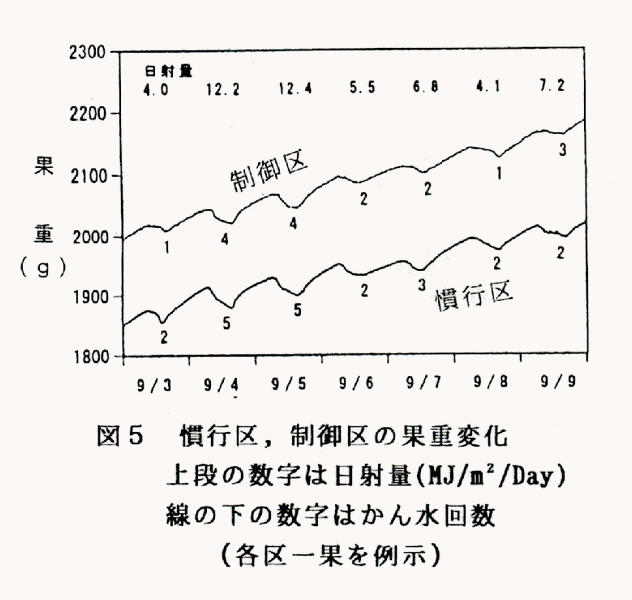 図5 慣行区、制御区の果重変化