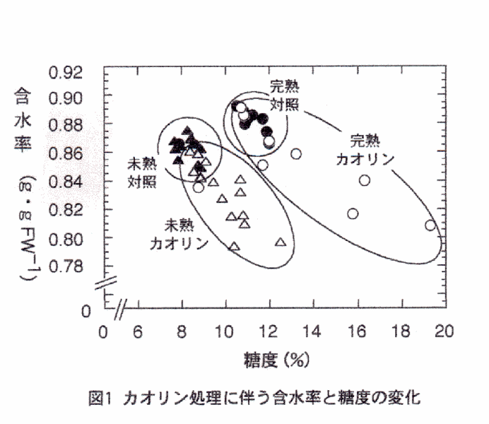 図1 カオリン処理に伴う含水率と凍度の変化