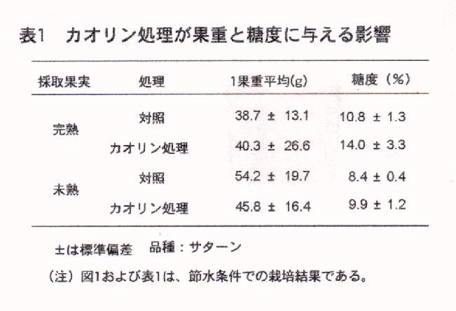 表1 カオリン処理が果重と糖度に与える影響