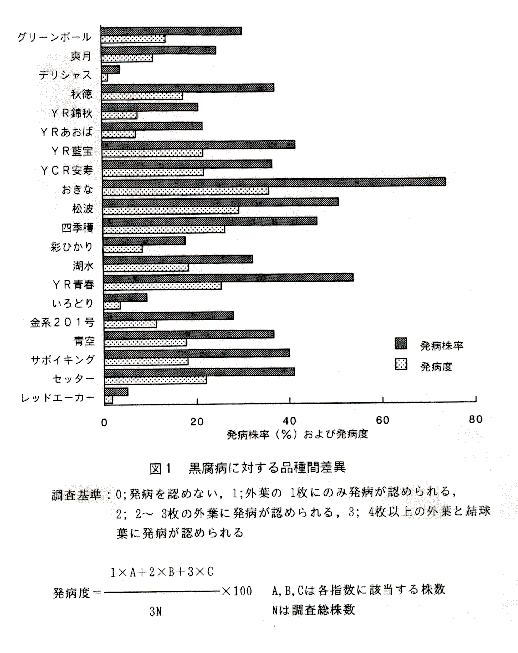 図1 黒腐病に対する品種間差異