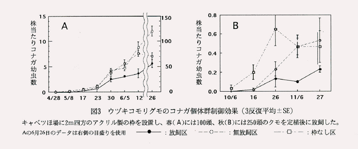 図3 ウヅキコモリグモのコナガ個体群制御効果