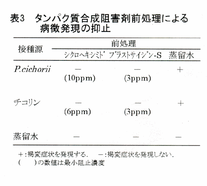 表3 タンパク質合成阻害剤前処理による病徴発現の抑止