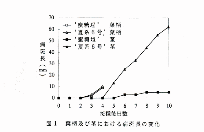 図1 葉柄及び茎における病斑長の変化