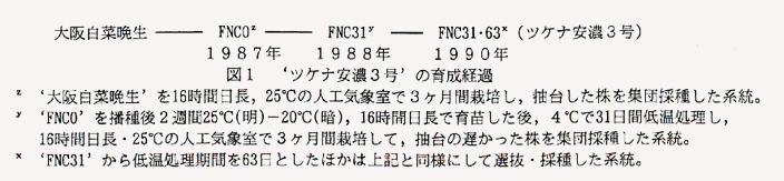 図1 'ツケナ安濃3号'の育成経過