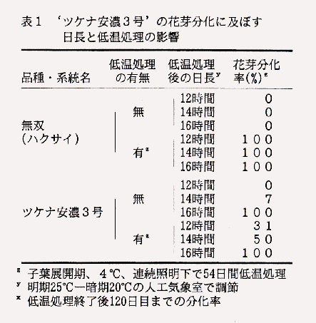 表1 'ツケナ安濃3号'の花芽分化に及ぼす日長と低温処理の影響