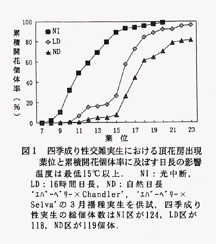 図1 四季成り性交雑実生における頂花房出現葉位と累積開花個体率に及ぼす日長の影響