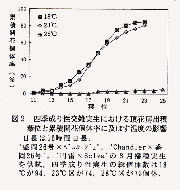 図2 四季成り性交雑実生における頭花房出現葉位と累積開花個体率に及ぼす温度の影響