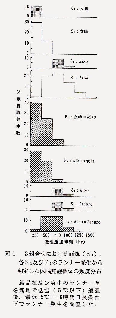 図1 3組合せにおける両親(S)、各S1及びF1のランナー発生から判定した休眠覚醒個体の頻度分布