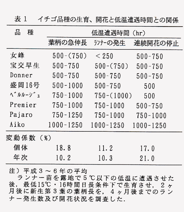 表1 イチゴ品種の生育、開花と低温遭遇時間との関係