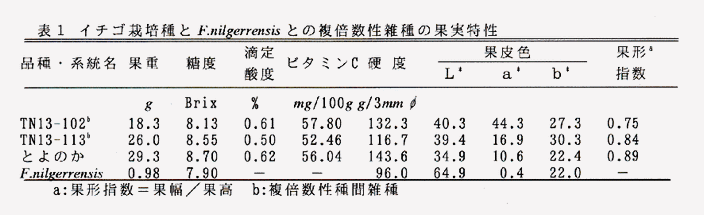 表1 イチゴ栽培種とF.nilgerrensisとの複倍数性雑種の果実特性