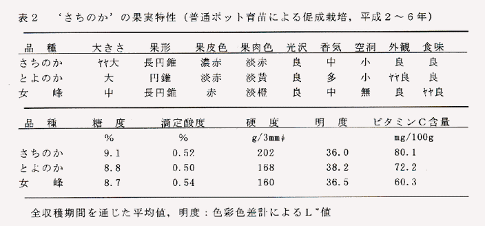 表2 'さちのか'の果実特性