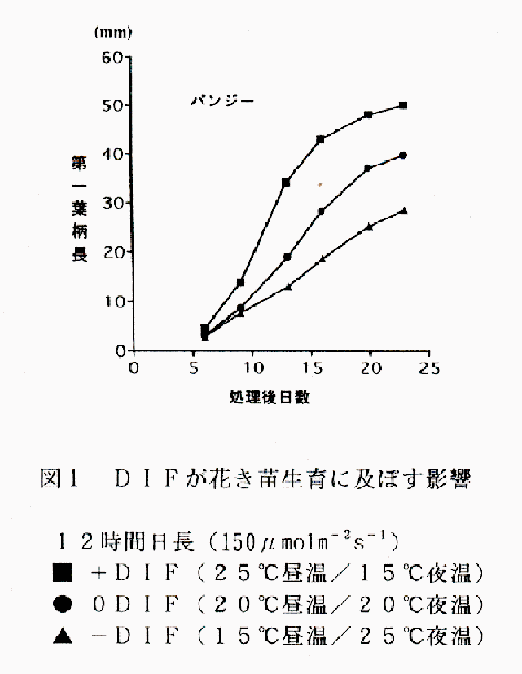 図1 DIFが花き苗生育に及ぼす影響