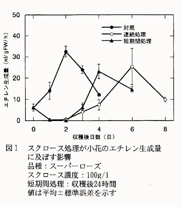 図1 スクロース処理が小花のエチレン生成量に及ぼす影響