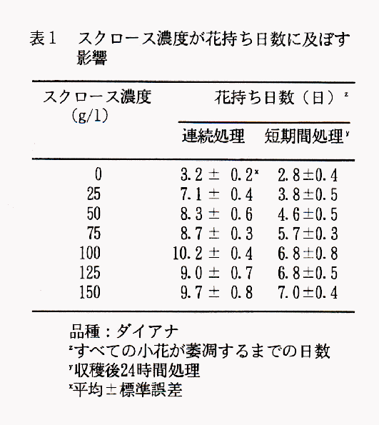 表1 スクロース濃度が花持ち日数に及ぼす影響