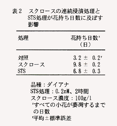 表2 スクロースの連続浸漬処理とSTS処理が花持ち日数に及ぼす影響