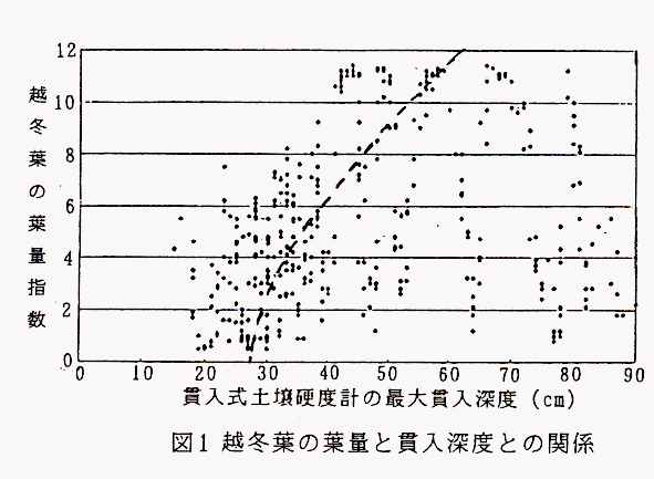 図1 越冬葉の葉量と貫入深度との関係