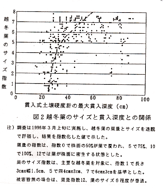 図2 貫入式土壌硬度計の最大貫入深度