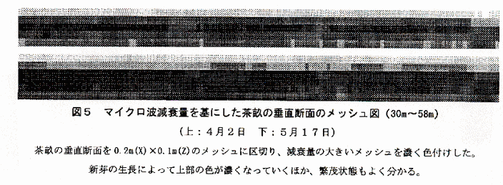 図5 マイクロ波減衰量を基にした茶畝の垂直断面のメッシュ図