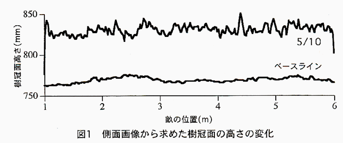 図1 側面画像から求めた樹冠面の高さの変化