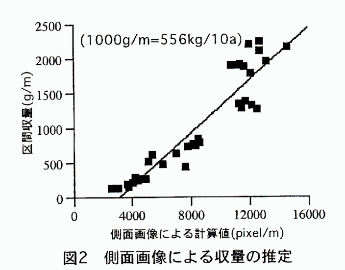 図2 側面画像による収量の推定