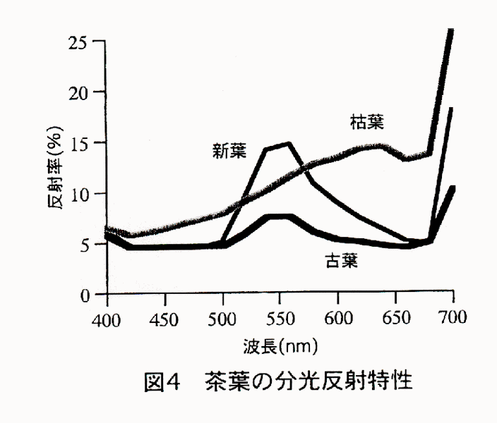 図4 茶葉の分光反射特性