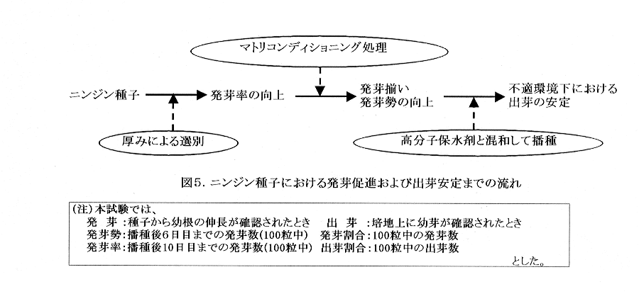 図5:ニンジン種子における発芽促進および出芽安定までの流れ