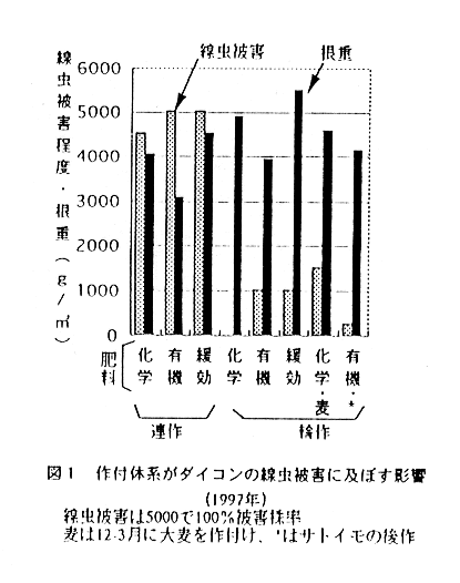 図1:作付体系がダイコンの線虫被害に及ぼす影響