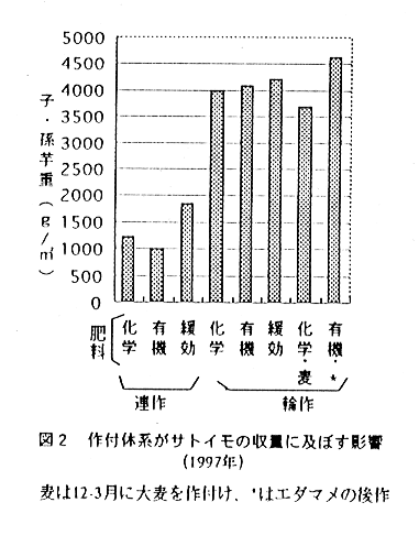 図2:作付体系がサトイモの収量に及ぼす影響