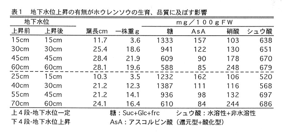表1:地下水位上昇の有無がホウレンソウの生育、品質に及ぼす影響