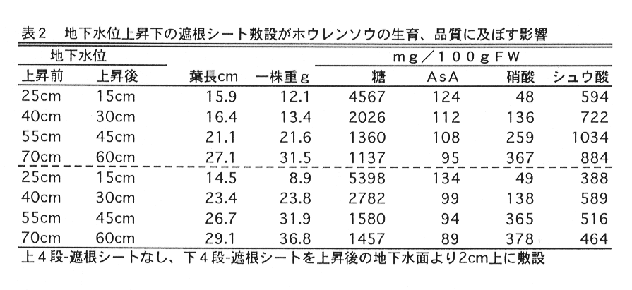 表2:地下水位上昇下の遮根シート敷設がホウレンソウの生育、品質に及ぼす影響