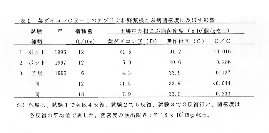 表1:葉ダイコンCR-1のアブラナ科野菜根こぶ病菌密度に及ぼす影響