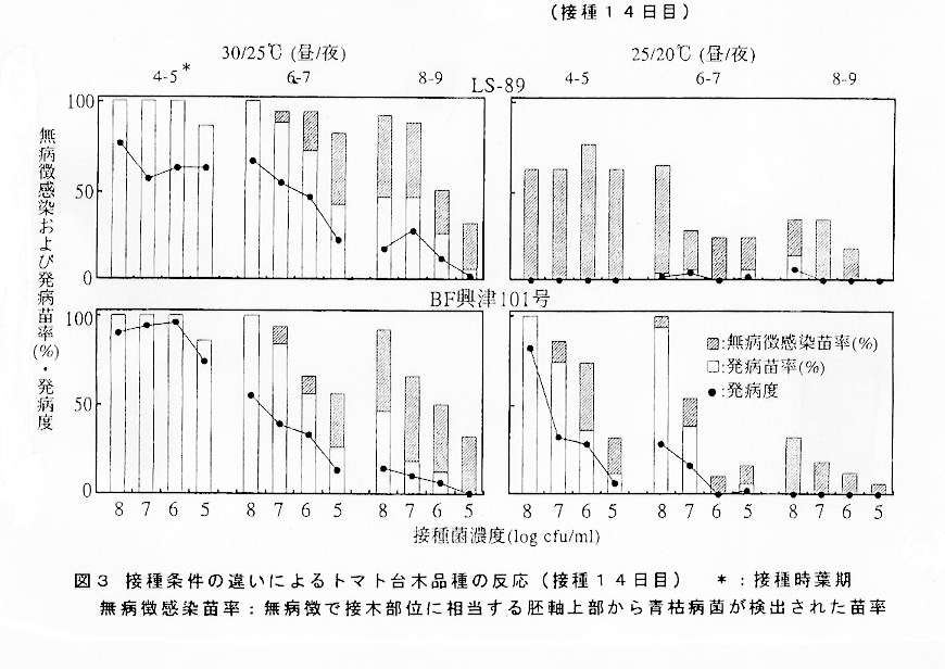 図3:接種条件の違いによるトマト台木品種の反応