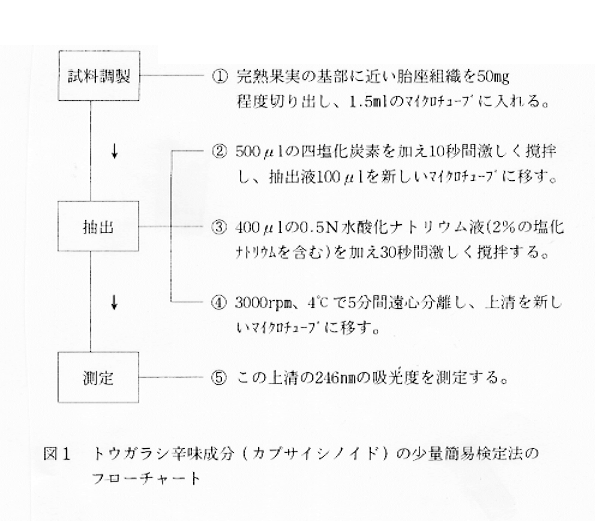 図1:トウガラシ辛味成分(カプサイシノイド)の少量簡易検定法のフローチャート