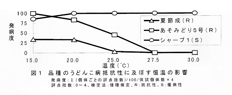 図1:品種のうどんこ病抵抗性に及ぼす恒温の影響