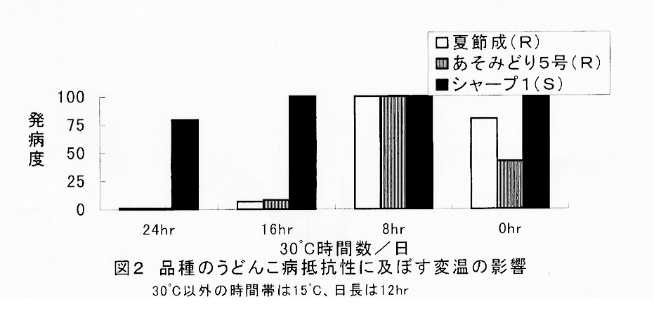 図2:品種のうどんこ病抵抗性に及ぼす変温の影響