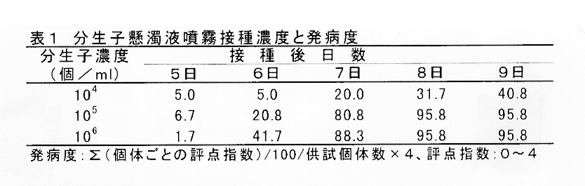 表1:分生子懸濁液噴霧接種濃度と発病度