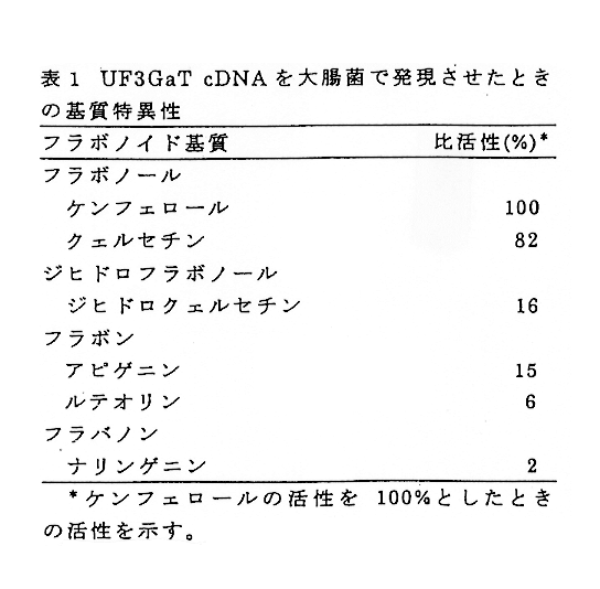 表1:UF3GaT cDNAを大腸菌で発現させたときの基質特異性