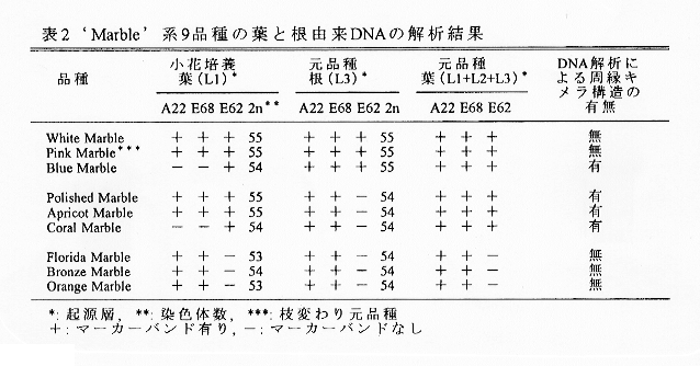 表2:'Marble'系9品種の葉と根由来DNAの解析結果