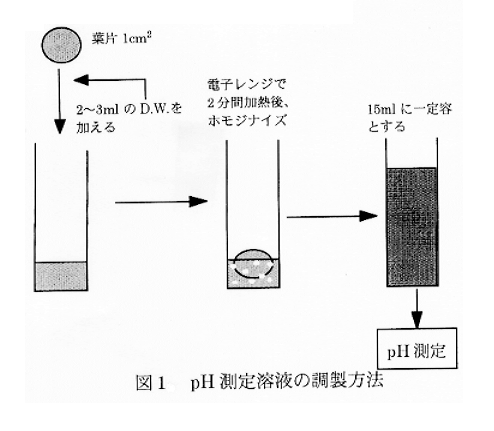 図1:pH測定溶液の調製方法